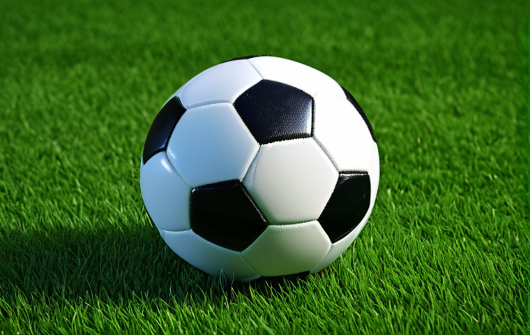 축구 유니폼 컬렉션 관리법 - **Prompt:** A young soccer fan, fully clothed in a team jersey and jeans, enthusiastically cheering ...
